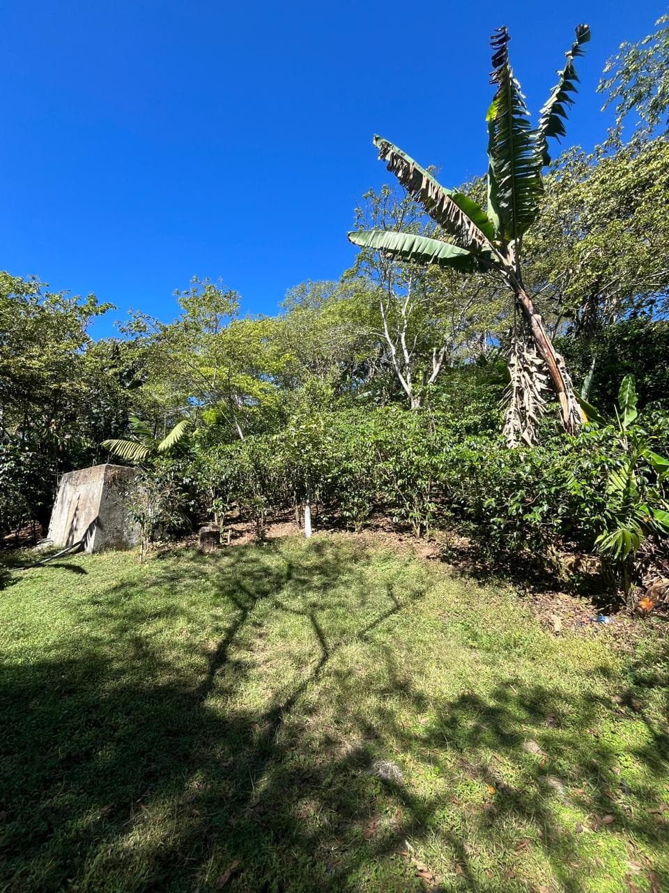 Finca en Venta en Fraijanes, Guatemala | Km 16-30 - foto 1