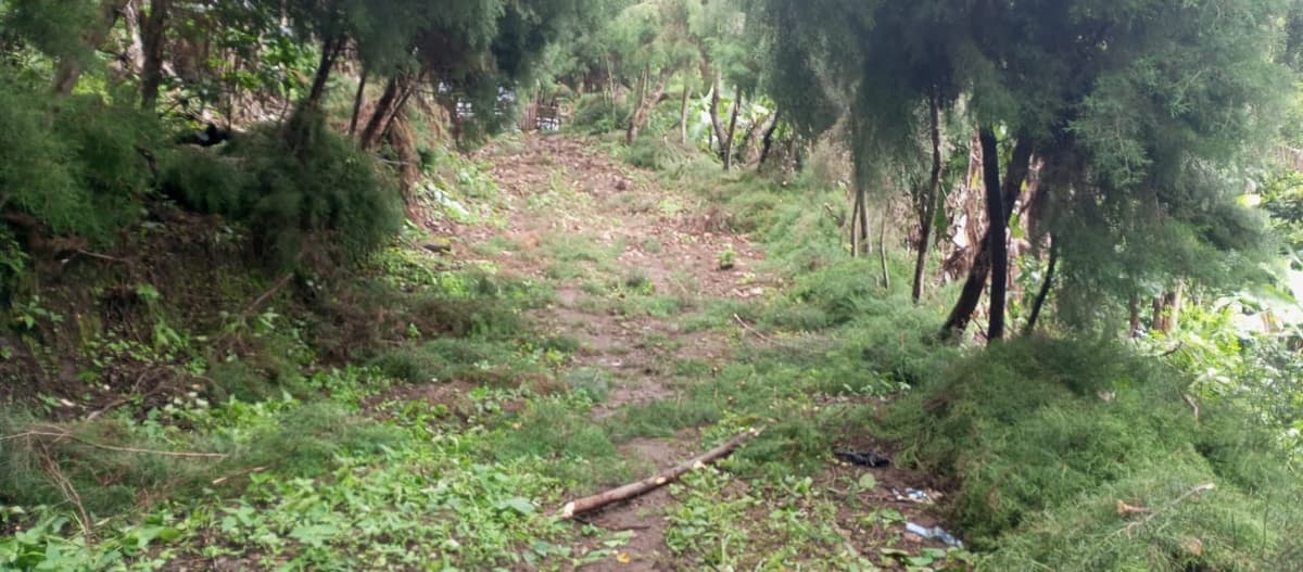 Terreno en venta para desarrollo comercial en Amatitlán - foto 1