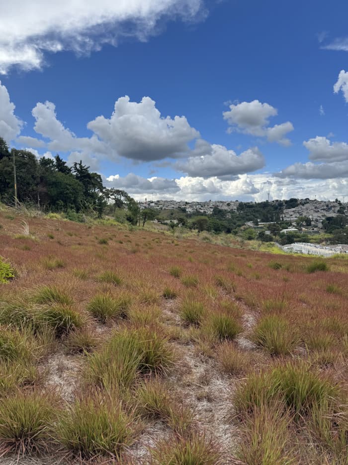 Terreno en Venta en Villa Nueva para Lotificación - foto 3