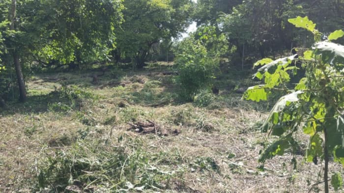 Terreno en Venta en Masagua, Escuintla | Oportunidad Inmobiliaria - foto 4