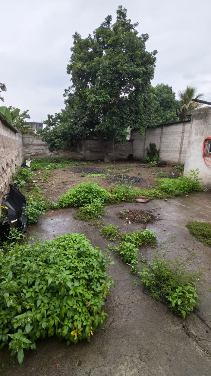 terreno en renta en Amatitlán, Barrio La Cruz. - foto 2