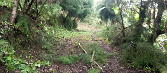 Terreno en venta para desarrollo comercial en Amatitlán - foto 2