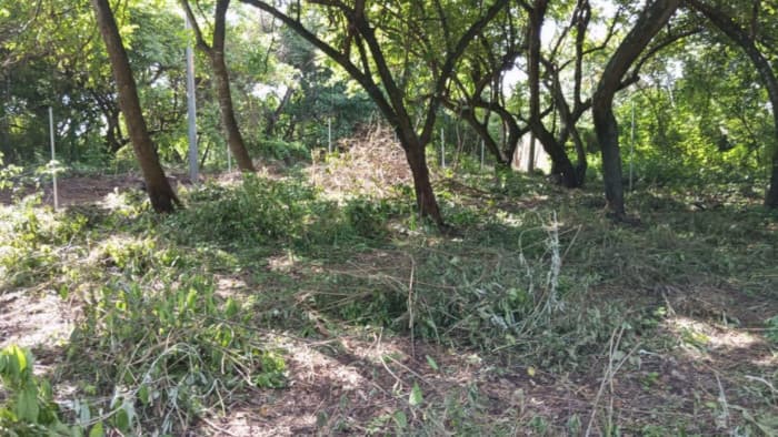 Terreno en Venta en Masagua, Escuintla | Oportunidad Inmobiliaria - foto 2