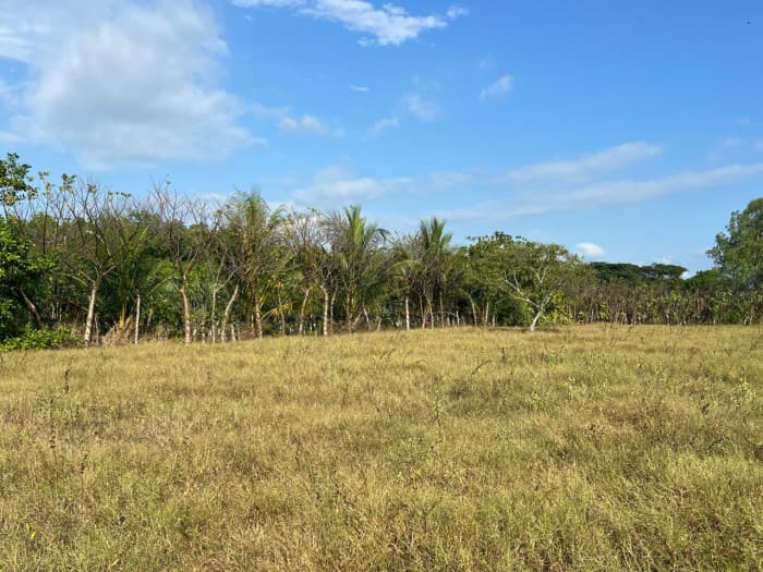 Terreno comercial en venta Monterrico - foto 3