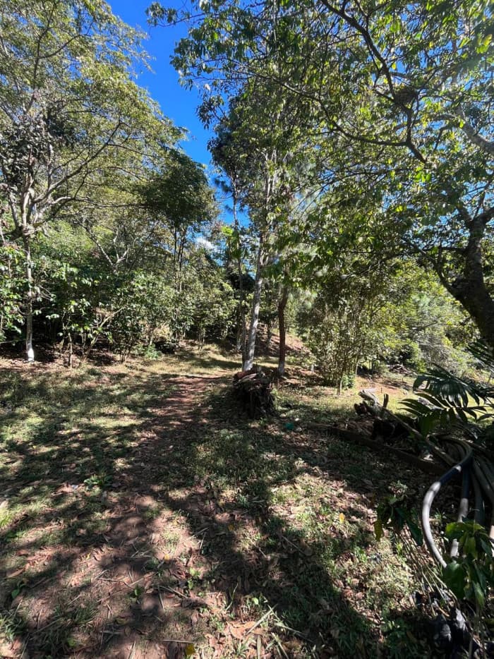 Finca en Venta en Fraijanes, Guatemala | Km 16-30 - foto 2