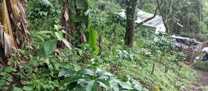 Terreno en venta para desarrollo comercial en Amatitlán - foto 4
