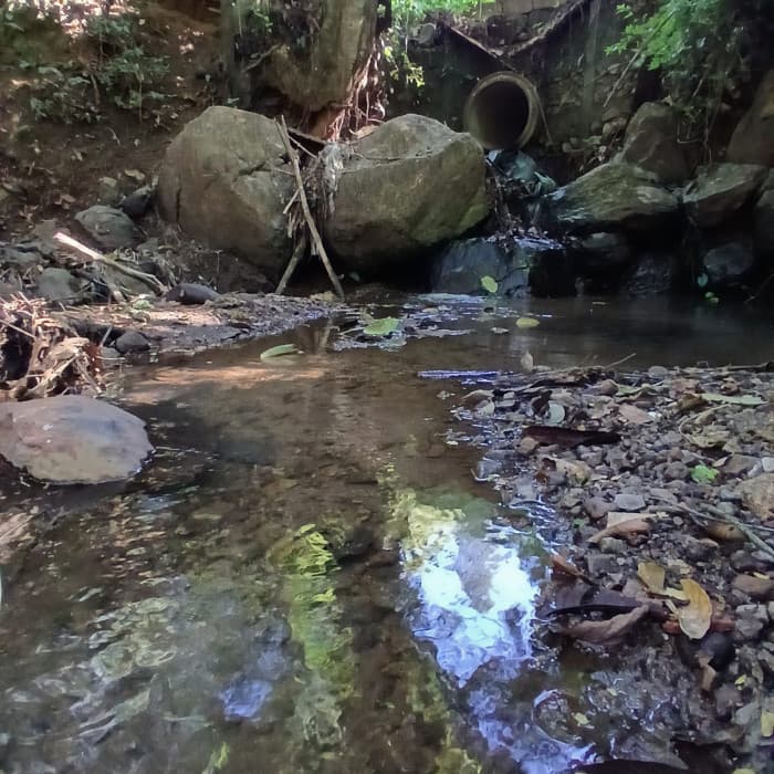 Finca en Venta en Fraijanes, Guatemala | Km 16-30 - foto 4