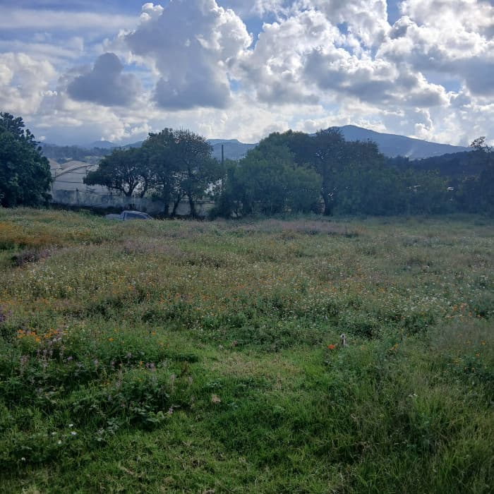 Terreno Comercial en Renta en Zaragoza, Chimaltenango - foto 3