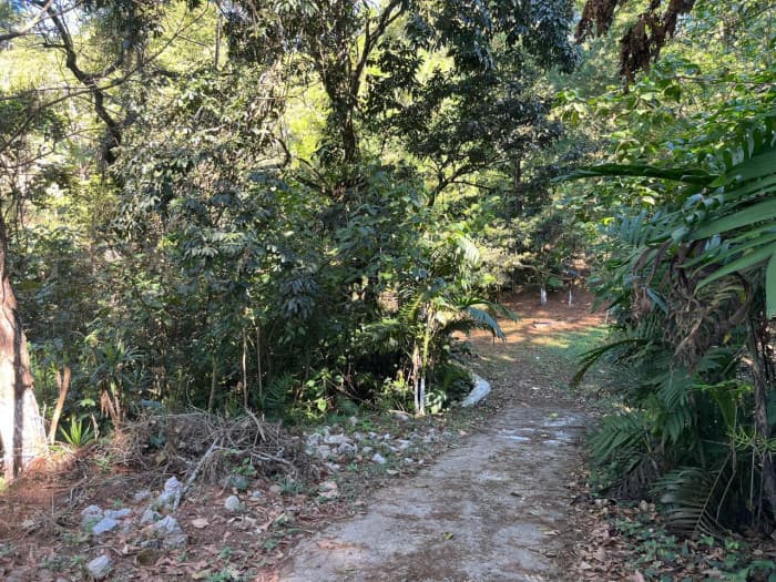 Finca en Venta en Fraijanes, Guatemala | Km 16-30 - foto 3