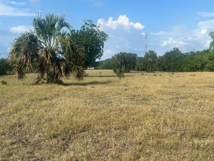 Terreno Comercial frente a carretera a Monterrico - foto 4