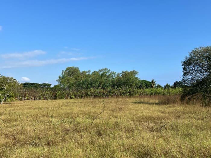 Terreno comercial en venta Monterrico - foto 2