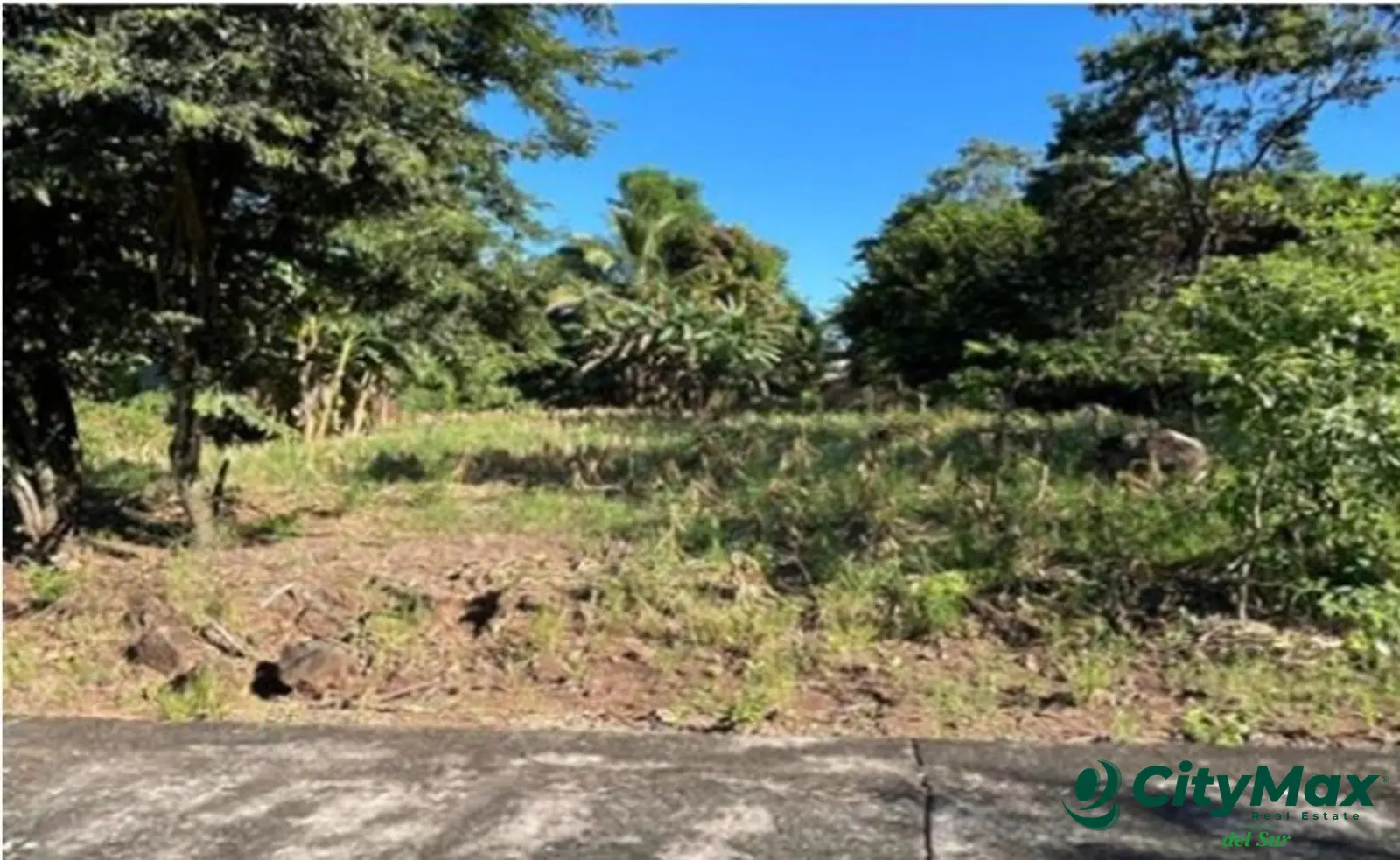 3 terrenos en venta en Malibú, Quintas la Ponderosa. - foto 8