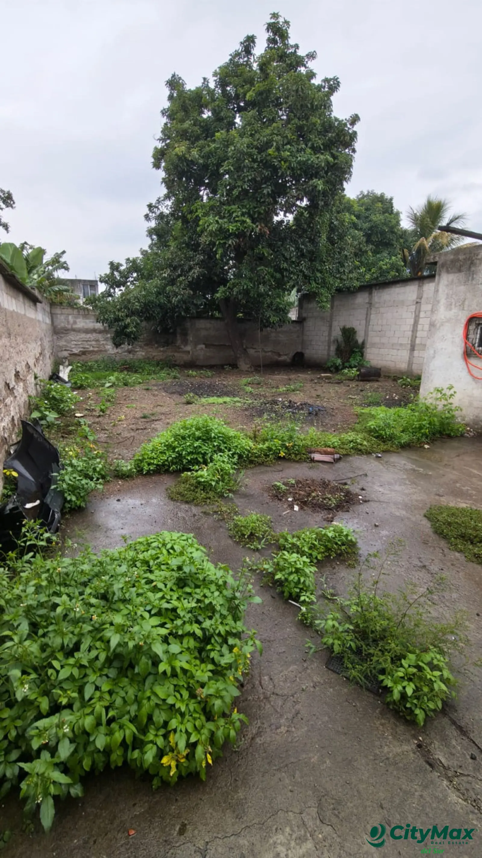 terreno en renta en Amatitlán, Barrio La Cruz. - foto 2