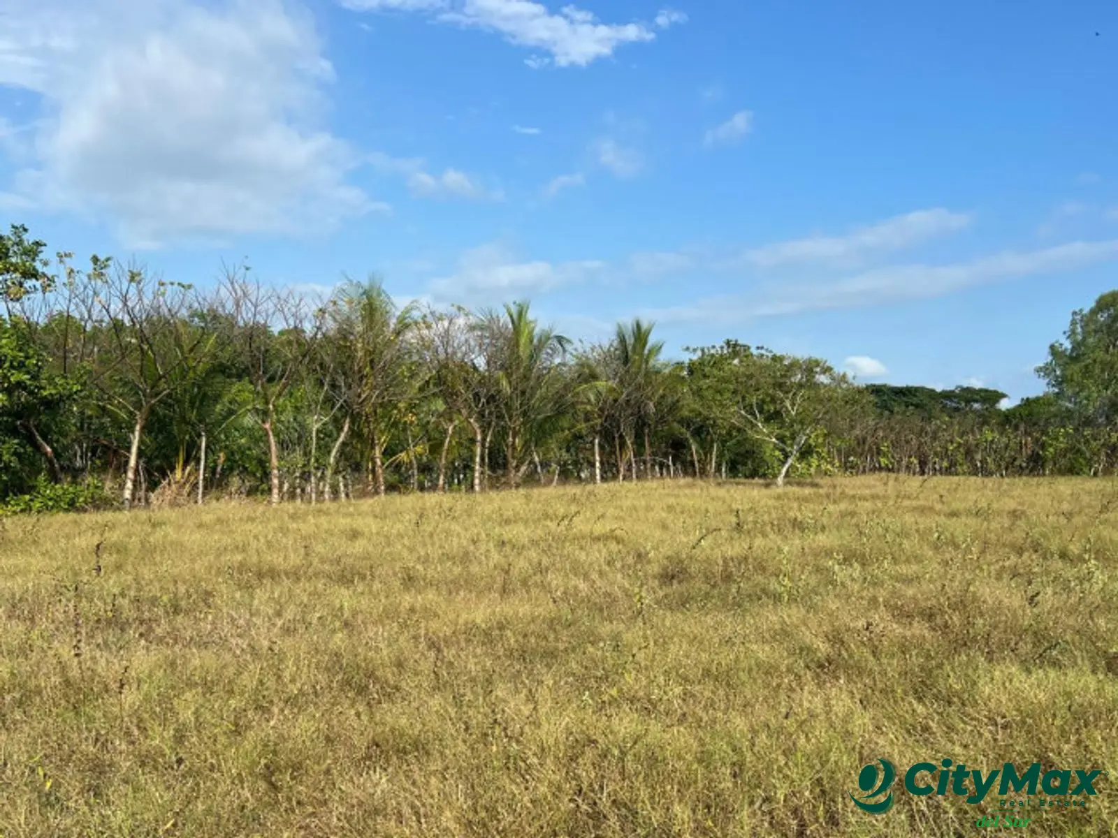 Terreno comercial en venta Monterrico - foto 3