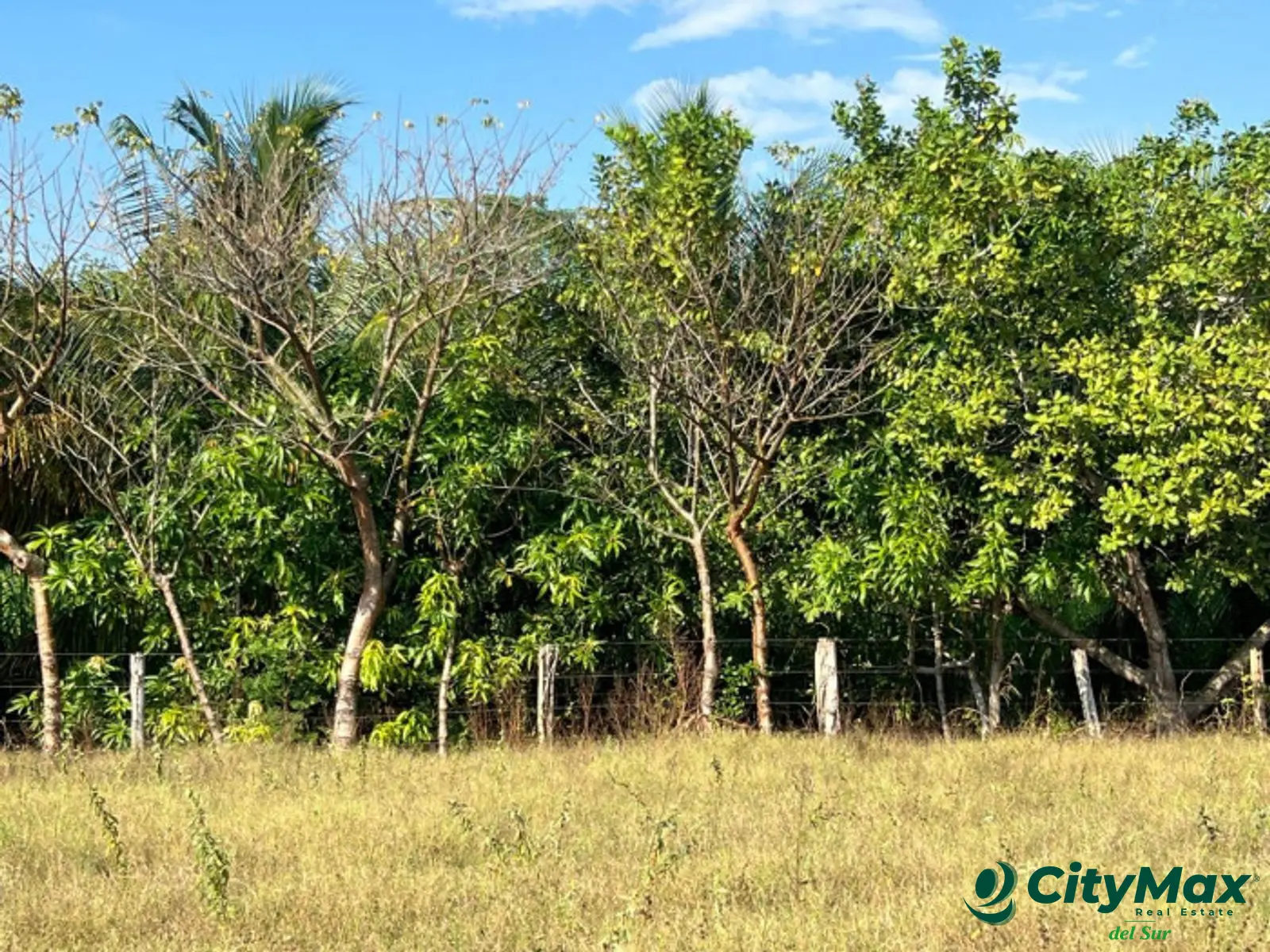 Terreno comercial en venta Monterrico - foto 4