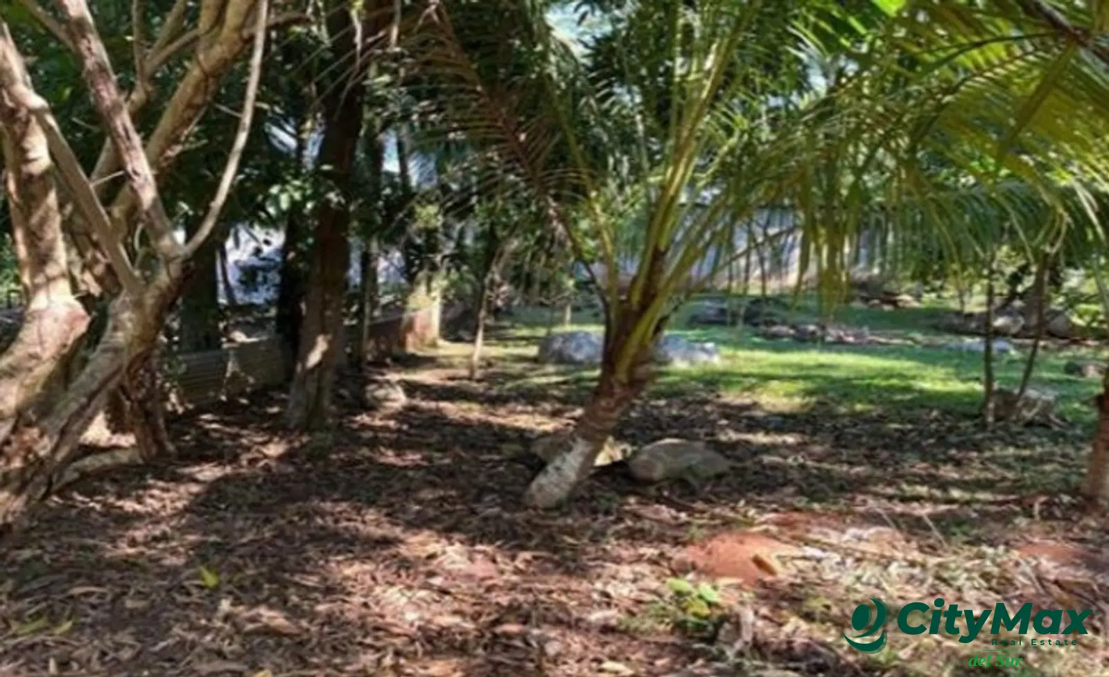 3 terrenos en venta en Malibú, Quintas la Ponderosa. - foto 10